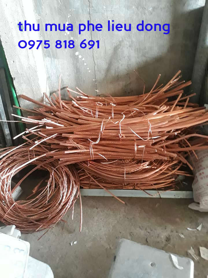 mua đồng cáp