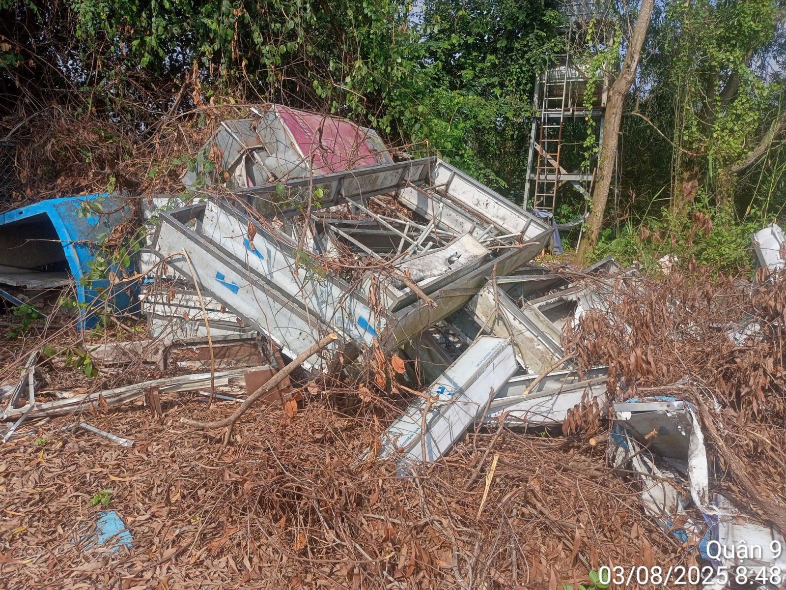 mua phe lieu quan 12