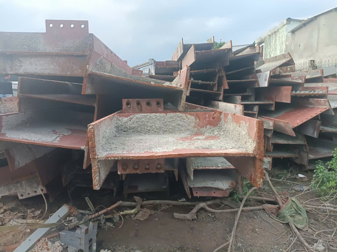 phe lieu tai binh thuan